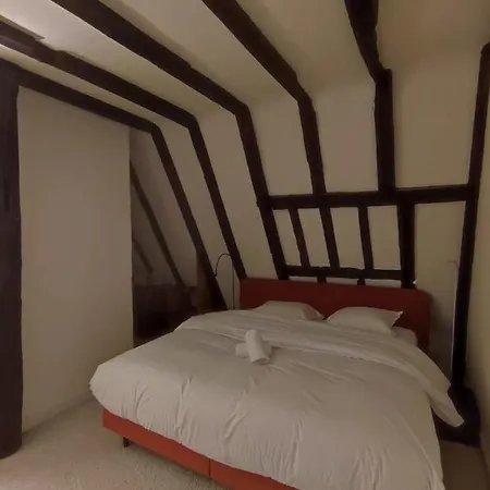 Apartment Le Petit Soleil Du Vieux Tours *