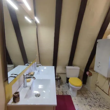 Le Petit Soleil Du Vieux Tours Apartment *