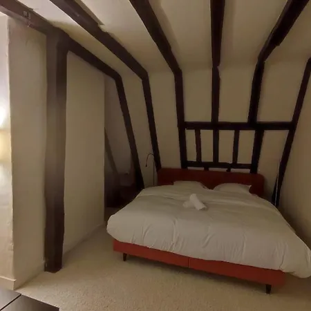 Le Petit Soleil Du Vieux Tours 公寓 *